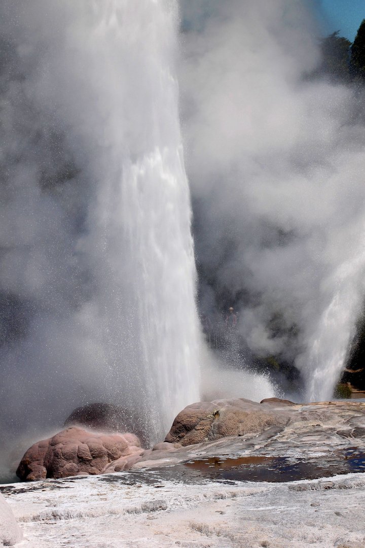 Te Puia,Pohutu Geyser, Roturoa, New Zealand,North Island