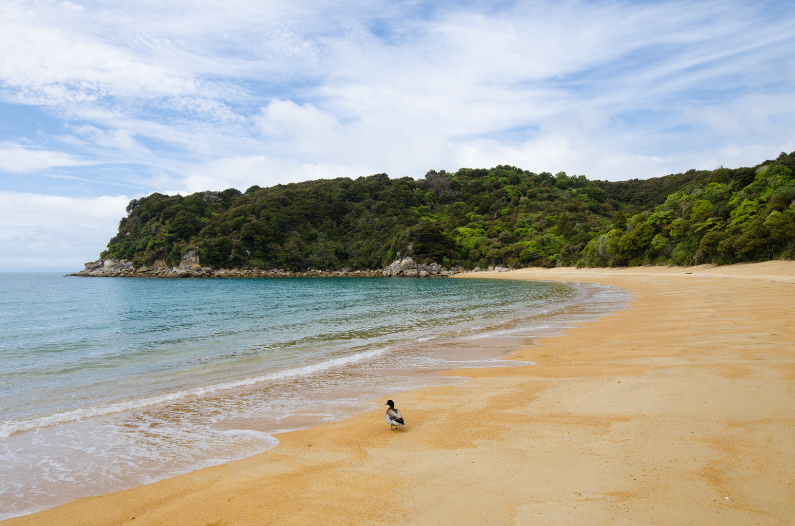 Te Pukatea Bay - Abel Tasman National Park