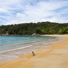 Te Pukatea Bay - Abel Tasman National Park