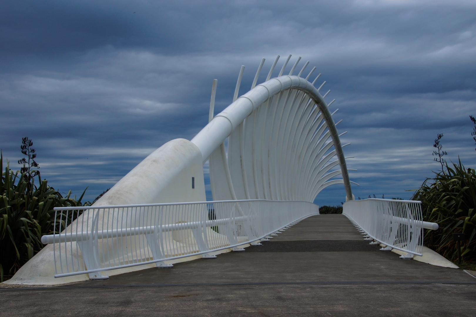 Te Rewa Rewa Bridge 