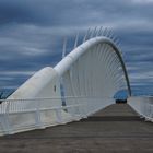 Te Rewa Rewa Bridge 