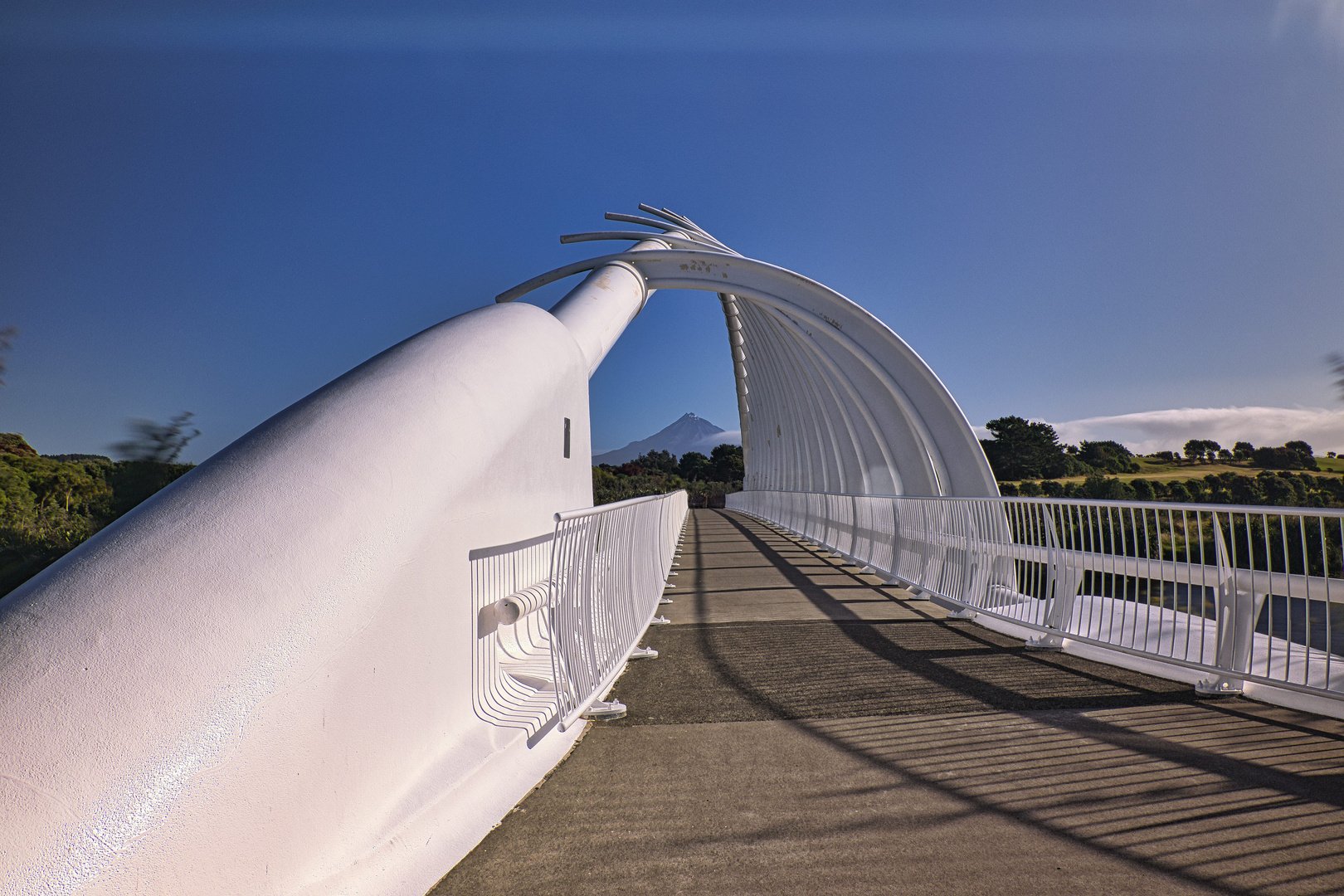 Te Rewa Rewa Bridge New Plymoth