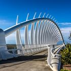 Te Rewa Rewa Bridge, New Plymouth,  Neuseeland 