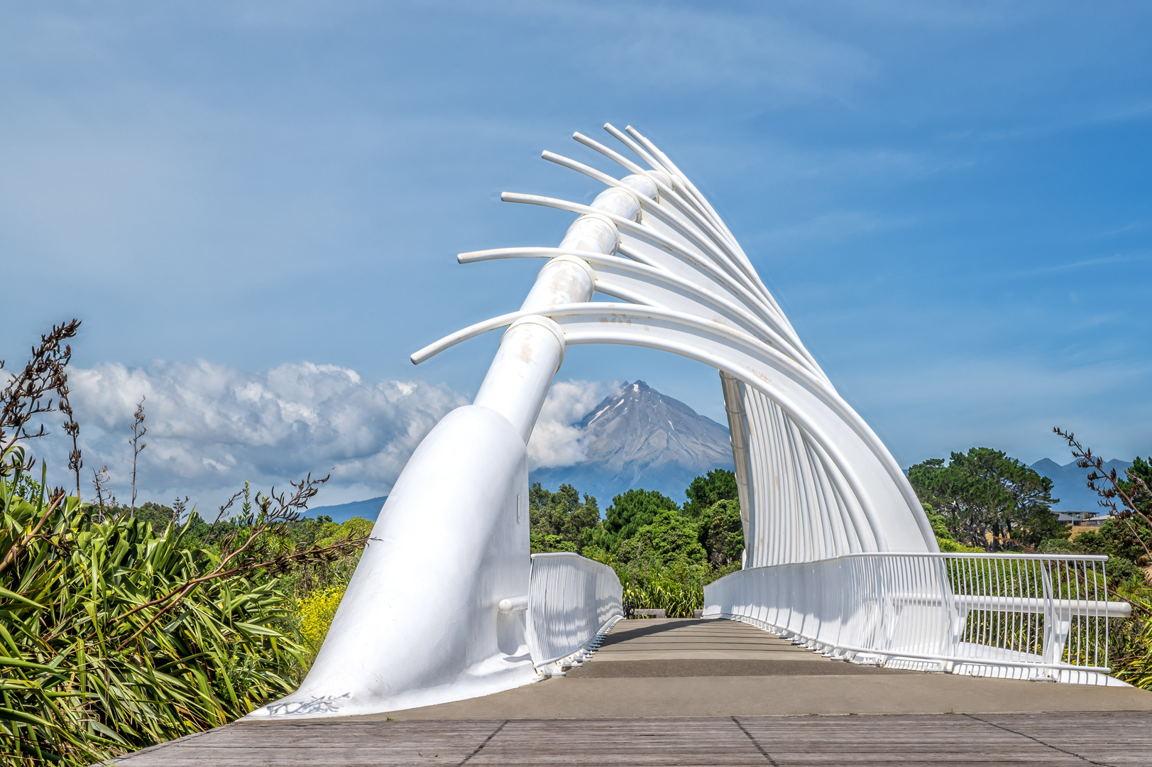 Te Rewa Rewa Bridge, New Plymouth, Neuseeland (2)