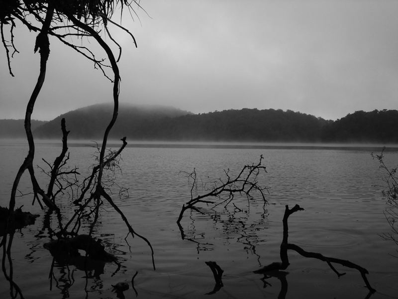 Te Urewera Nat. Park, New Zealand