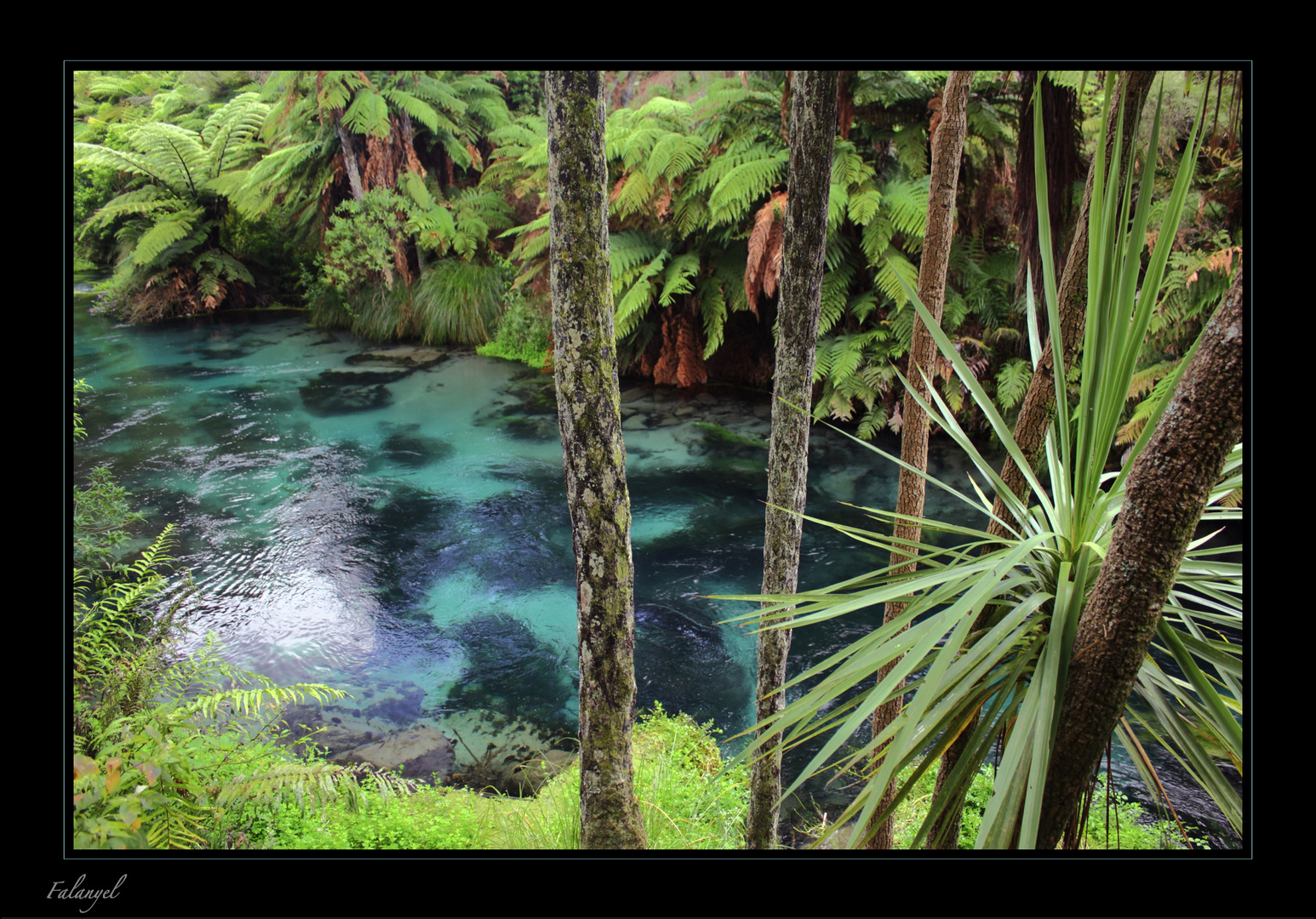 Te Waihou - new water