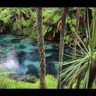 Te Waihou - new water