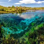 Te Waikoropupu Springs