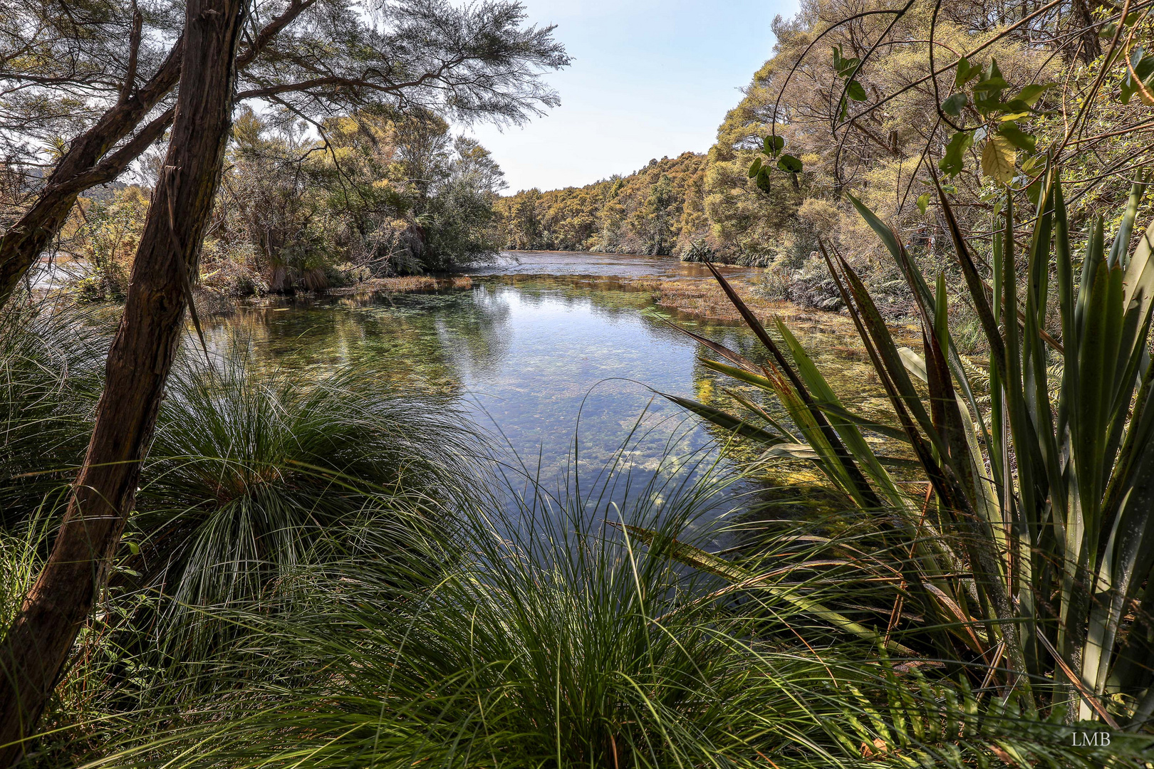 Te Waikoropupu Springs