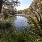 Te Waikoropupu Springs