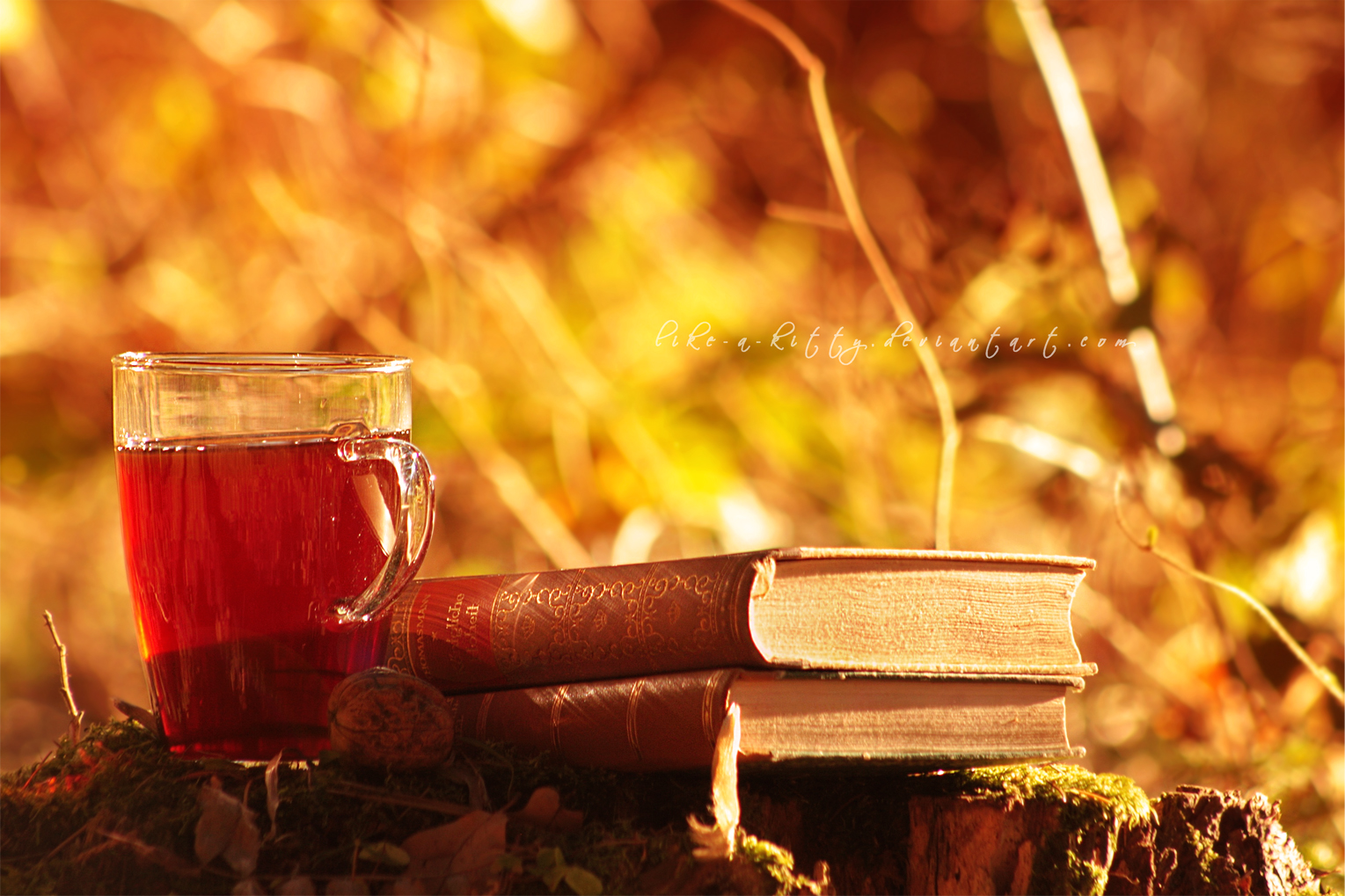 Tea And Books