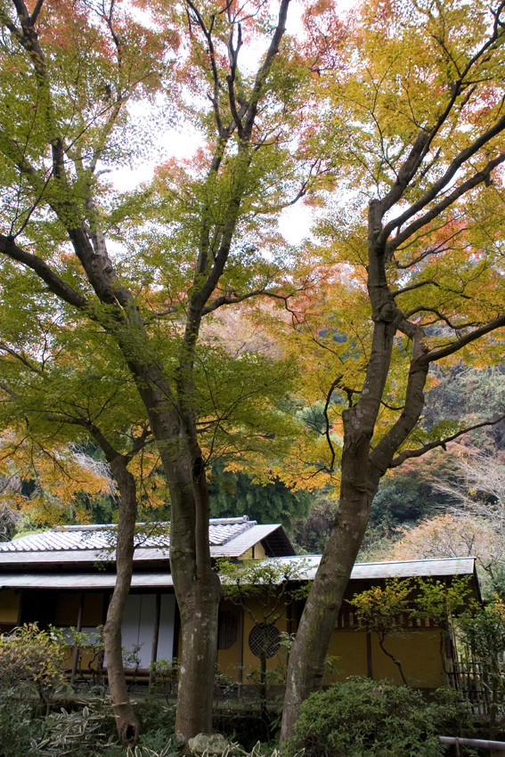 Tea ceremony house