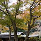 Tea ceremony house