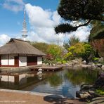 Tea Ceremony inside