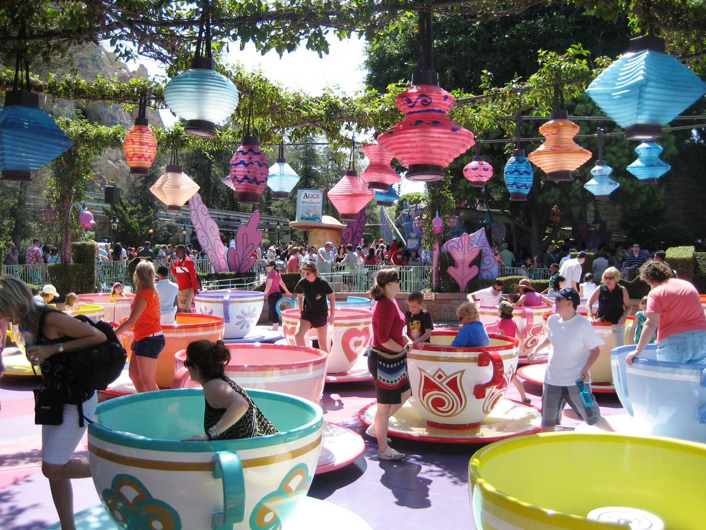 Tea cup ride at Disneyland