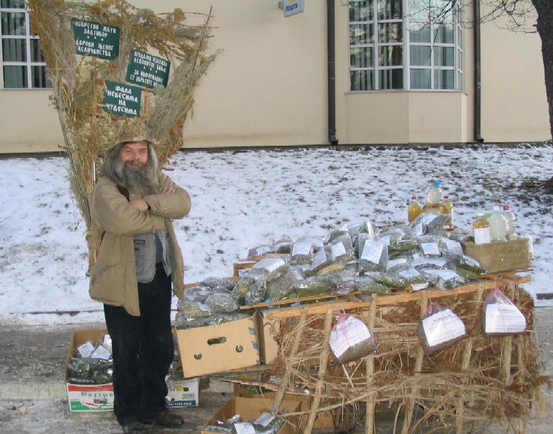 Tea Seller, Zlatibor - Serbia