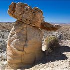 Teakettle Hoodoo