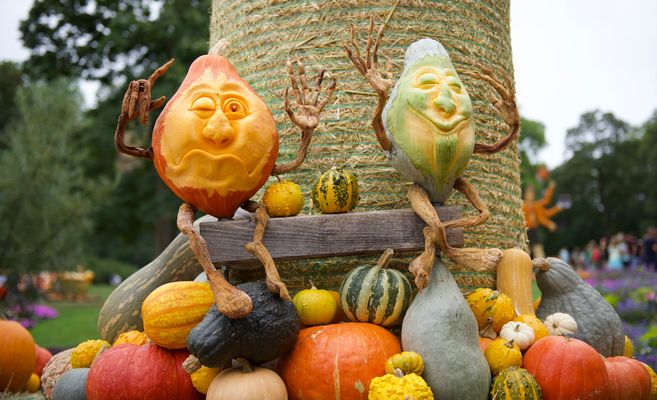 Team Ansichtssache - ach wie schön