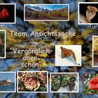 Team Ansichtssache Collage