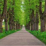 Team Ansichtssache - Der Weg ist das Ziel