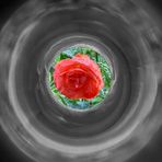 *** team ansichtssache " durch die röhre schaut "      ***