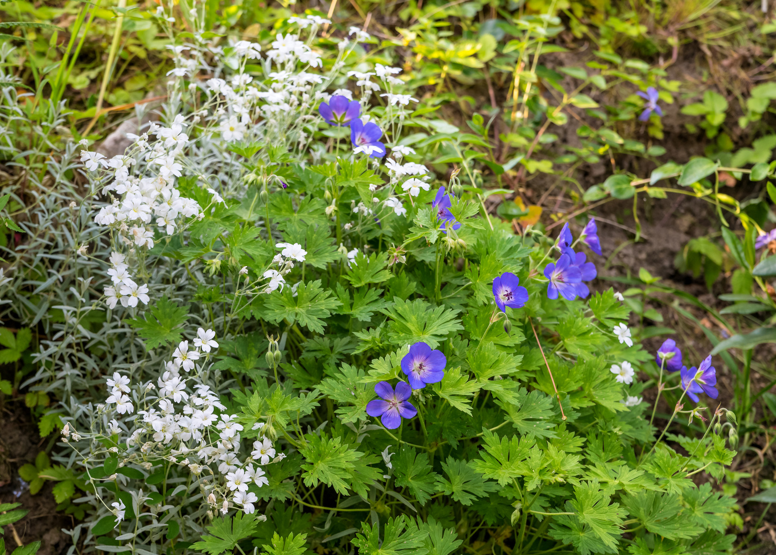 ***     team ansichtssache " farben der natur "       ***