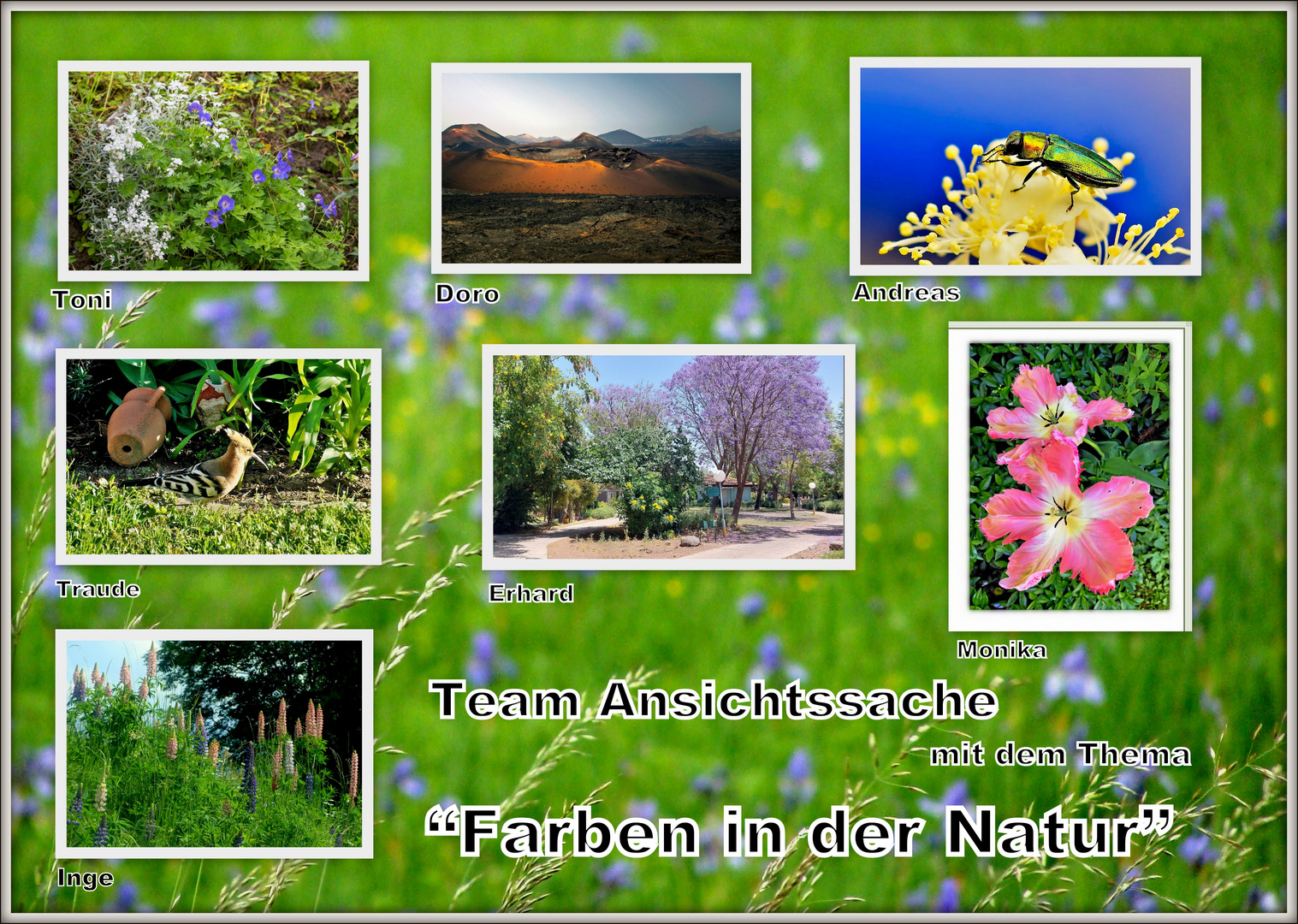 Team Ansichtssache "Farben in der Natur"