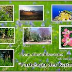 Team Ansichtssache "Farben in der Natur"