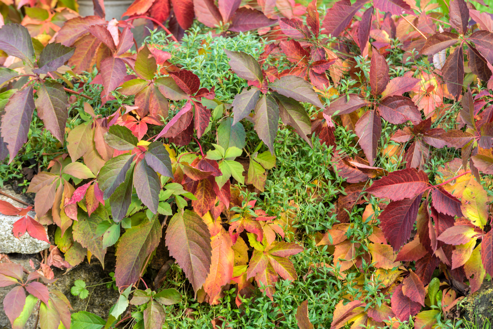 ***    team ansichtssache  " herbststimmung "       ***