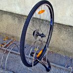 Team Ansichtssache: "Rund ums Rad"  -  122