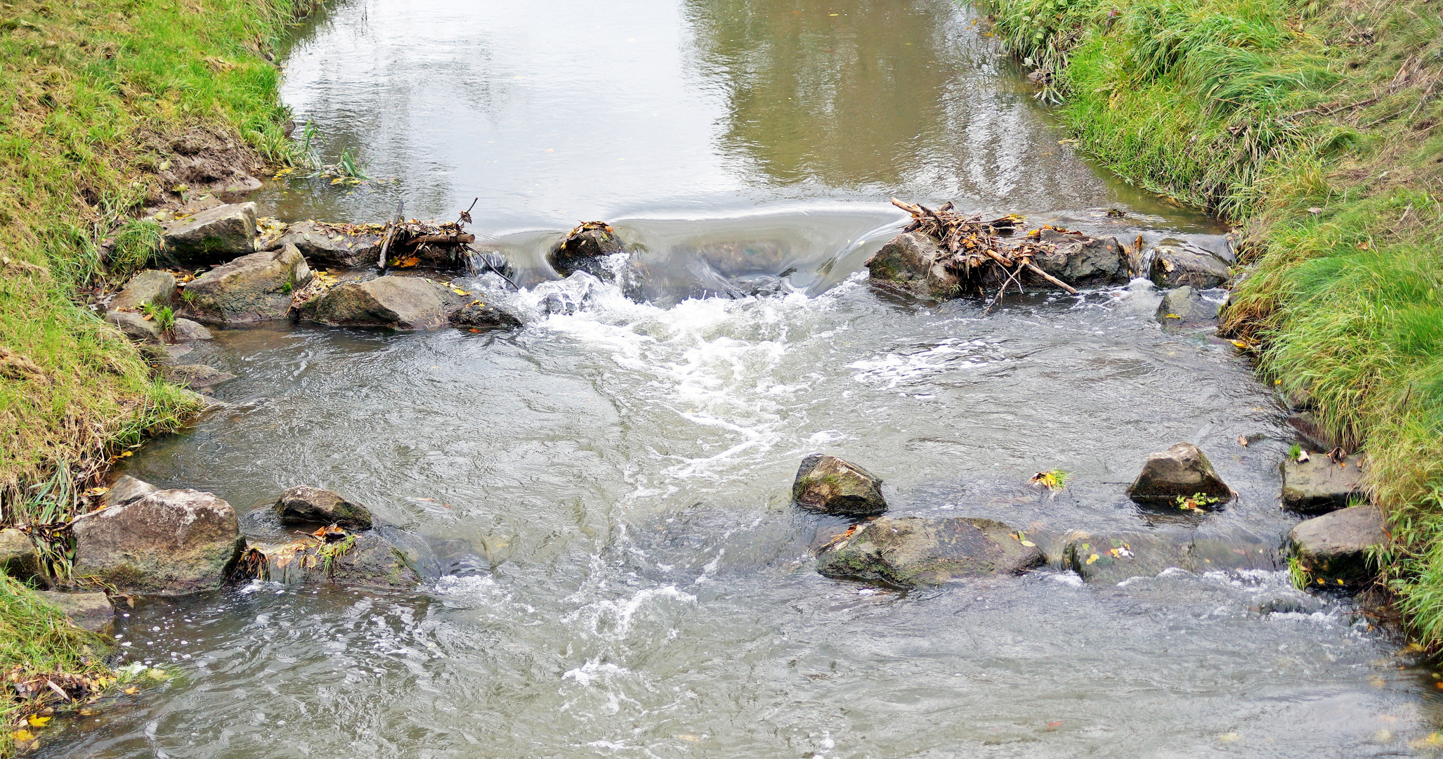 Team Ansichtssache: Wasser in der Natur