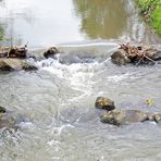 Team Ansichtssache: Wasser in der Natur