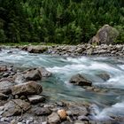 Team Ansichtssache - Wasser in der Natur