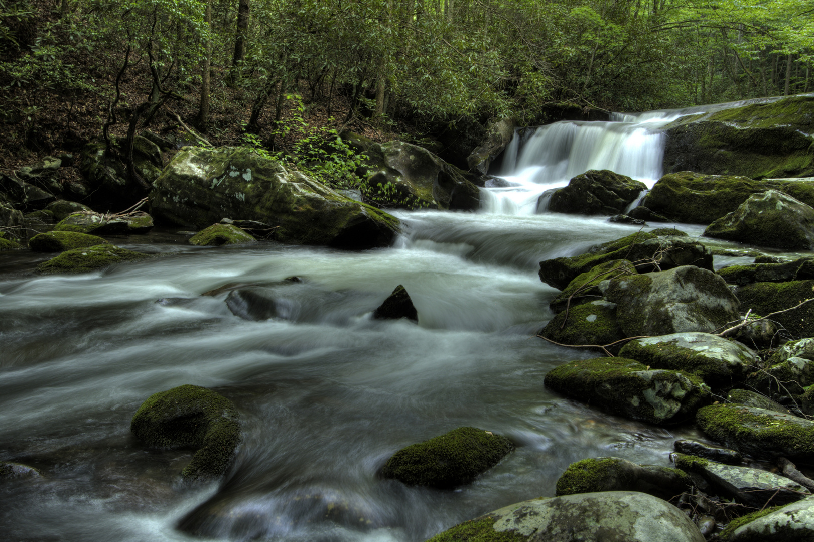 Team Ansichtssache  "Wasser in der Natur"