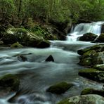 Team Ansichtssache  "Wasser in der Natur"