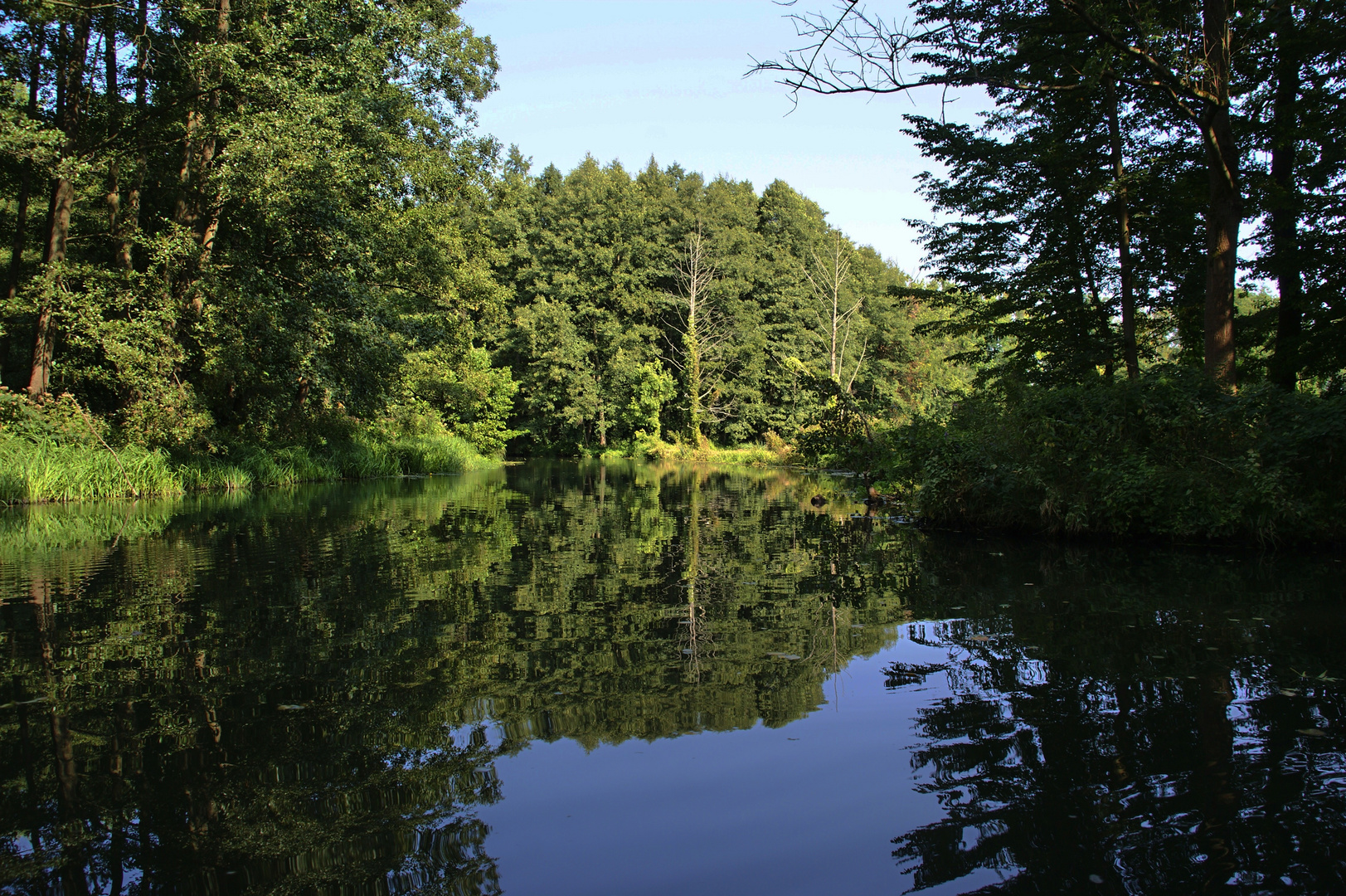 Team Ansichtssache: "Wasser in der Natur"