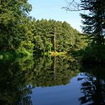 Team Ansichtssache: "Wasser in der Natur"