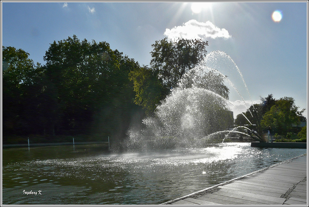 Team im Focus: "BRUNNEN!