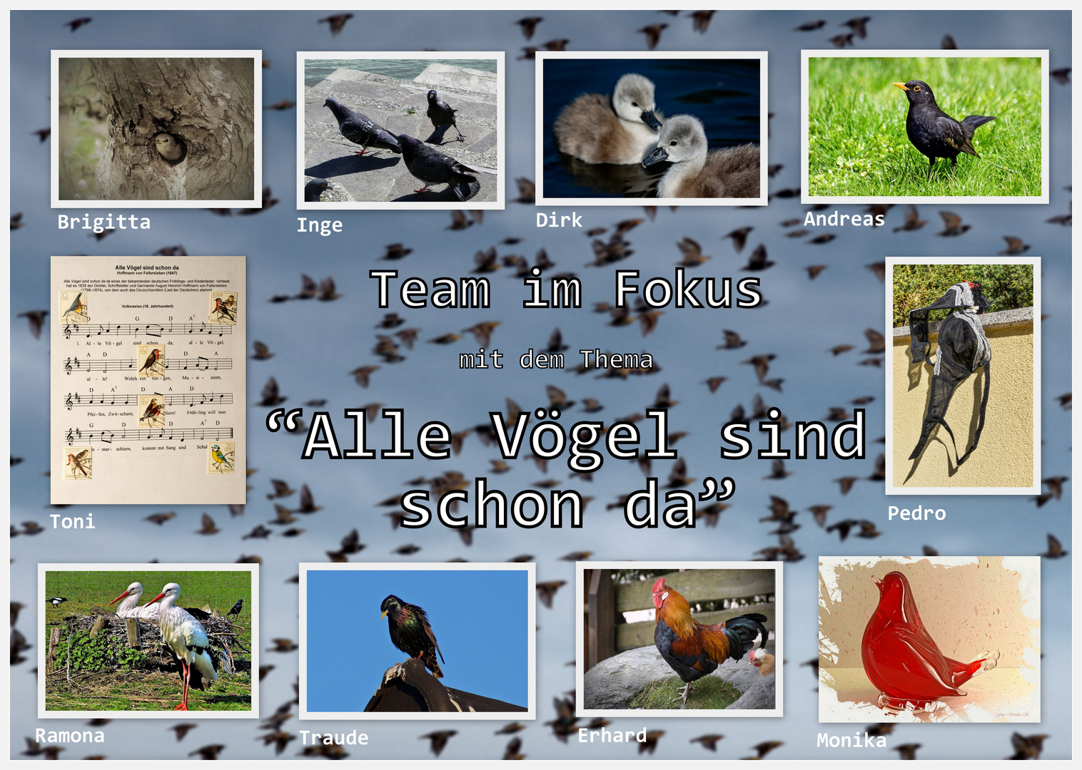 Team im Fokus "Alle Vögel sind schon da"