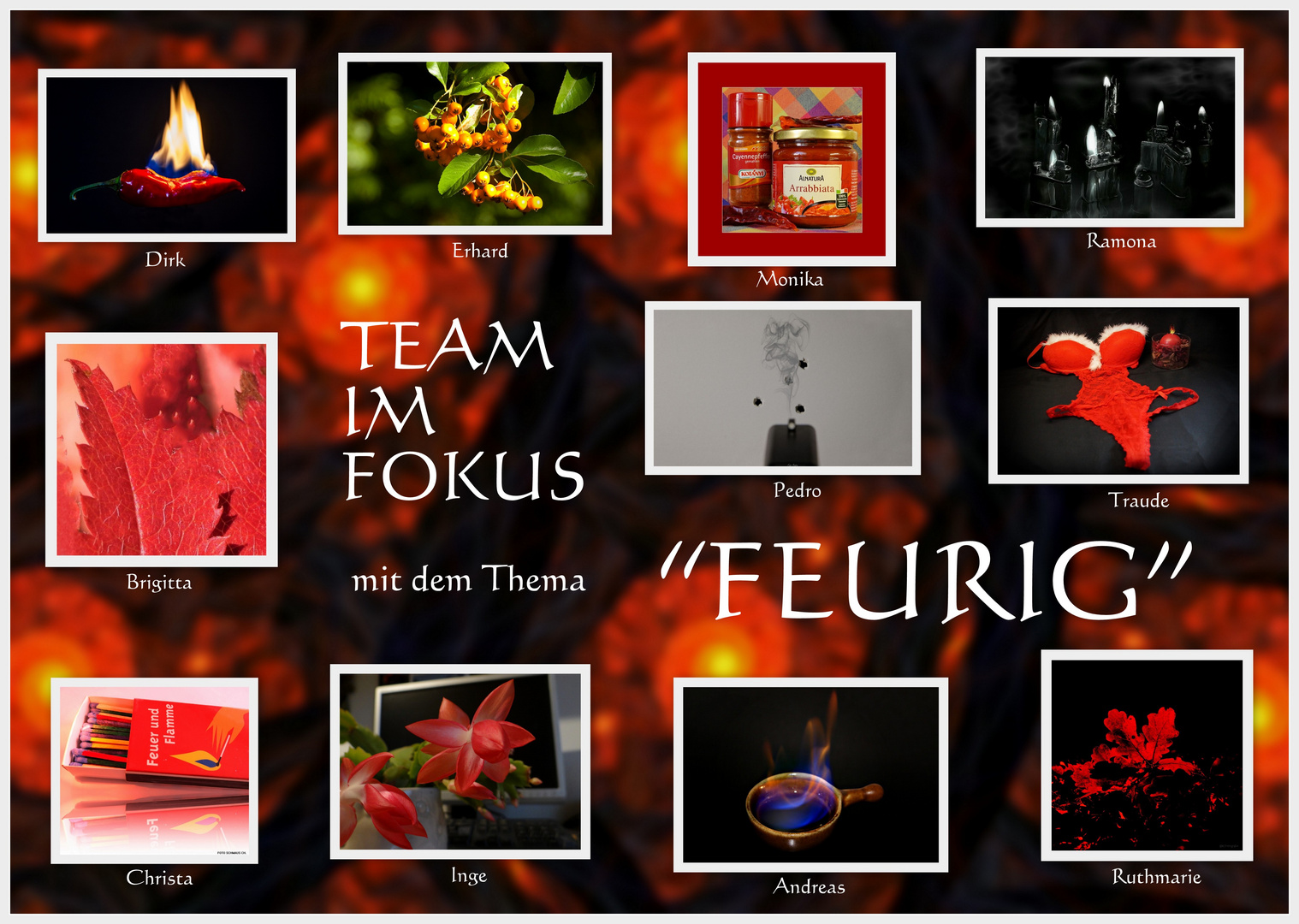 Team im Fokus - Collage 