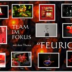 Team im Fokus - Collage 