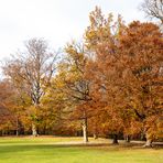 Team im Fokus - Herbstlaub