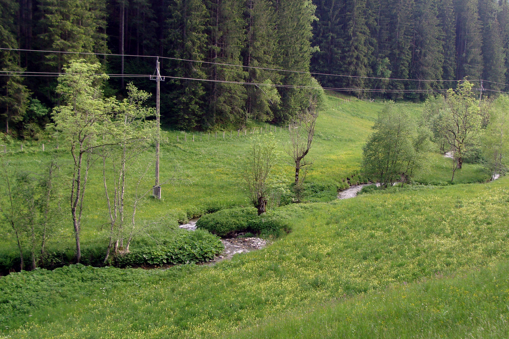 Team im Fokus "Idyllische Bachläufe"