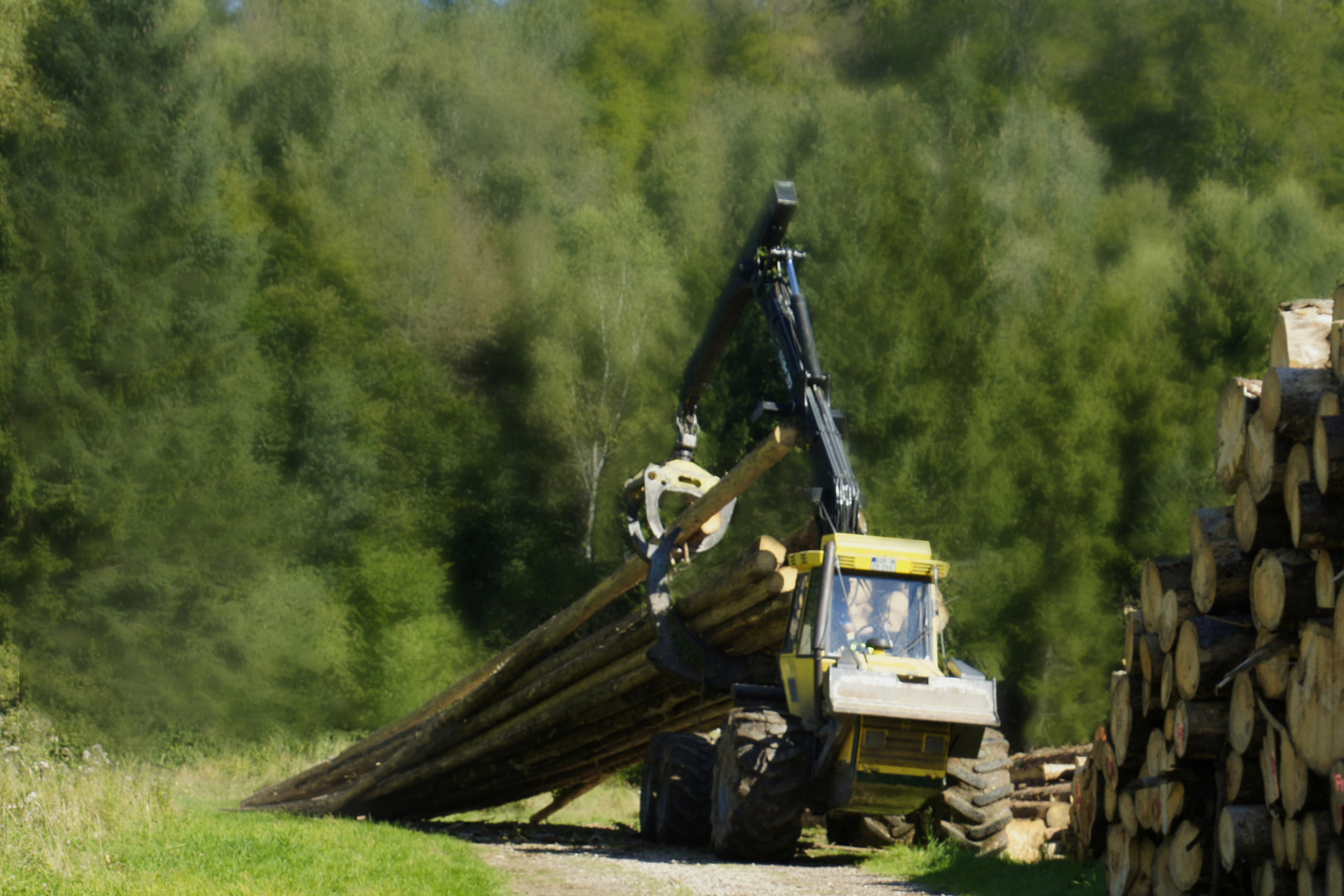 Team im Fokus  "Maschinen"  Harvester