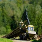 Team im Fokus  "Maschinen"  Harvester