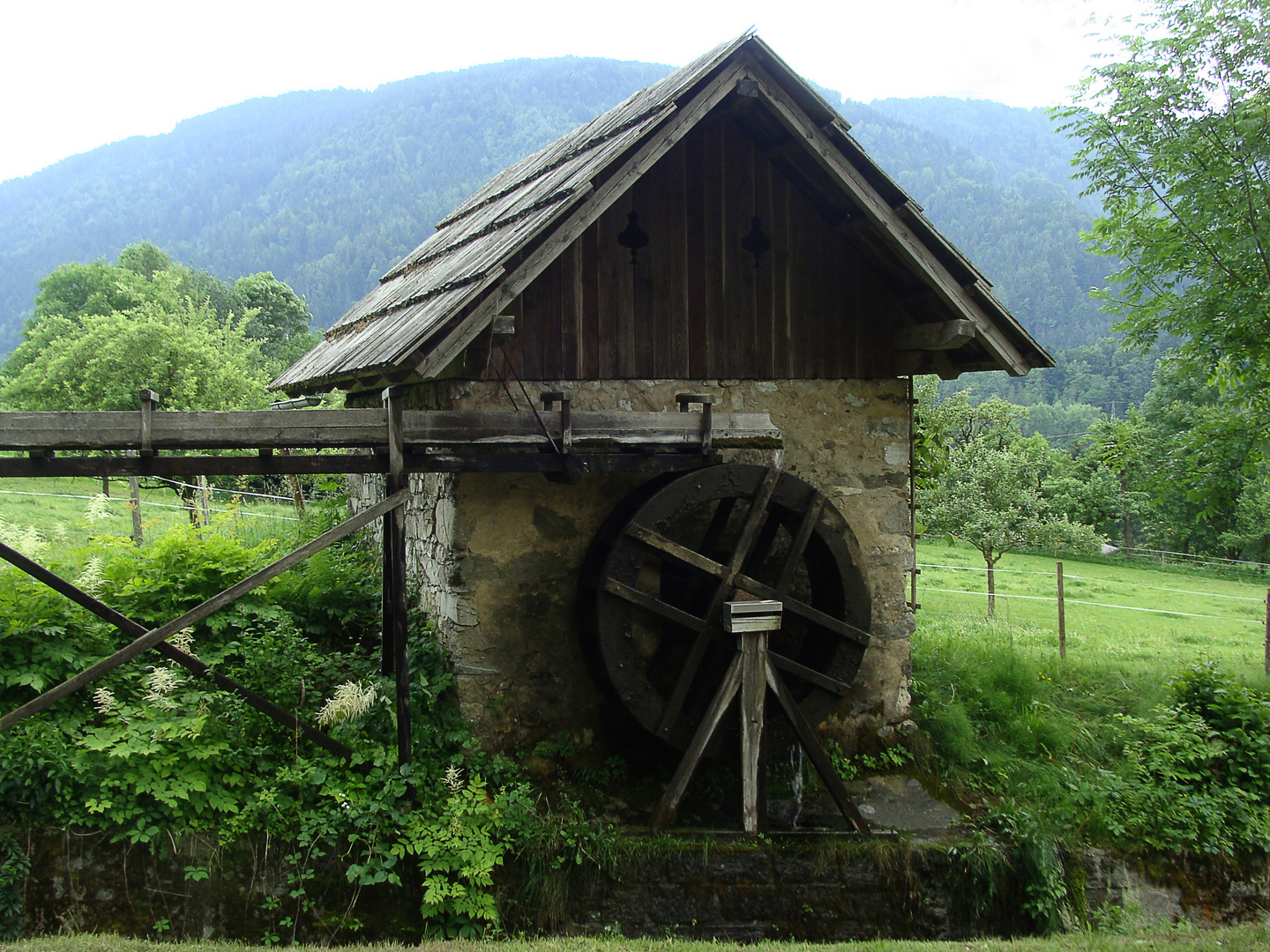 Team im Fokus "Mühlen"