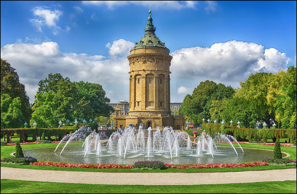 Team im Fokus - "Natur in der Stadt"