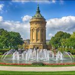 Team im Fokus - "Natur in der Stadt"