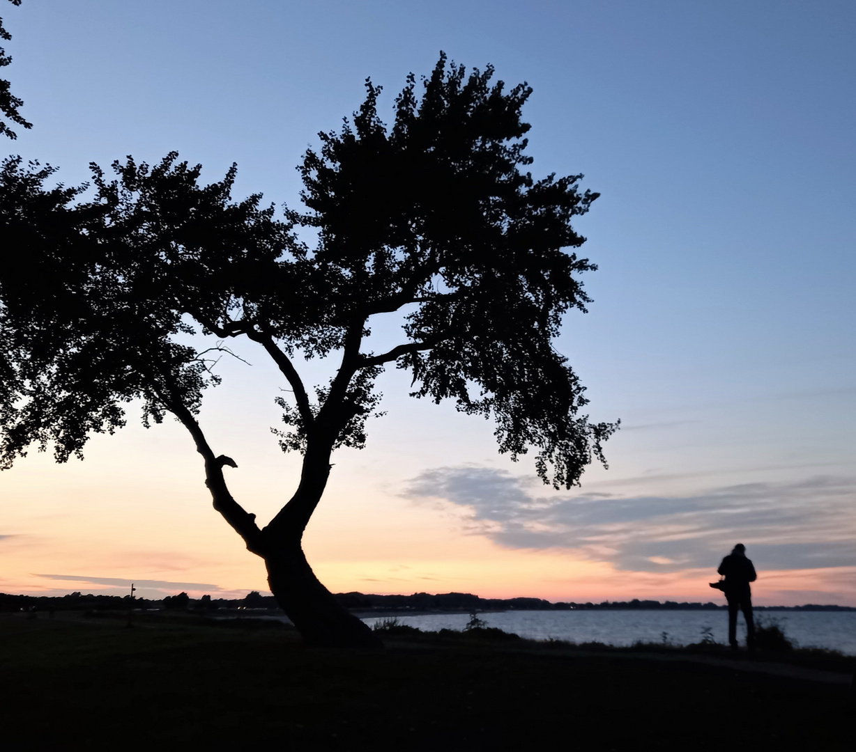 Team im Fokus - Silhouetten