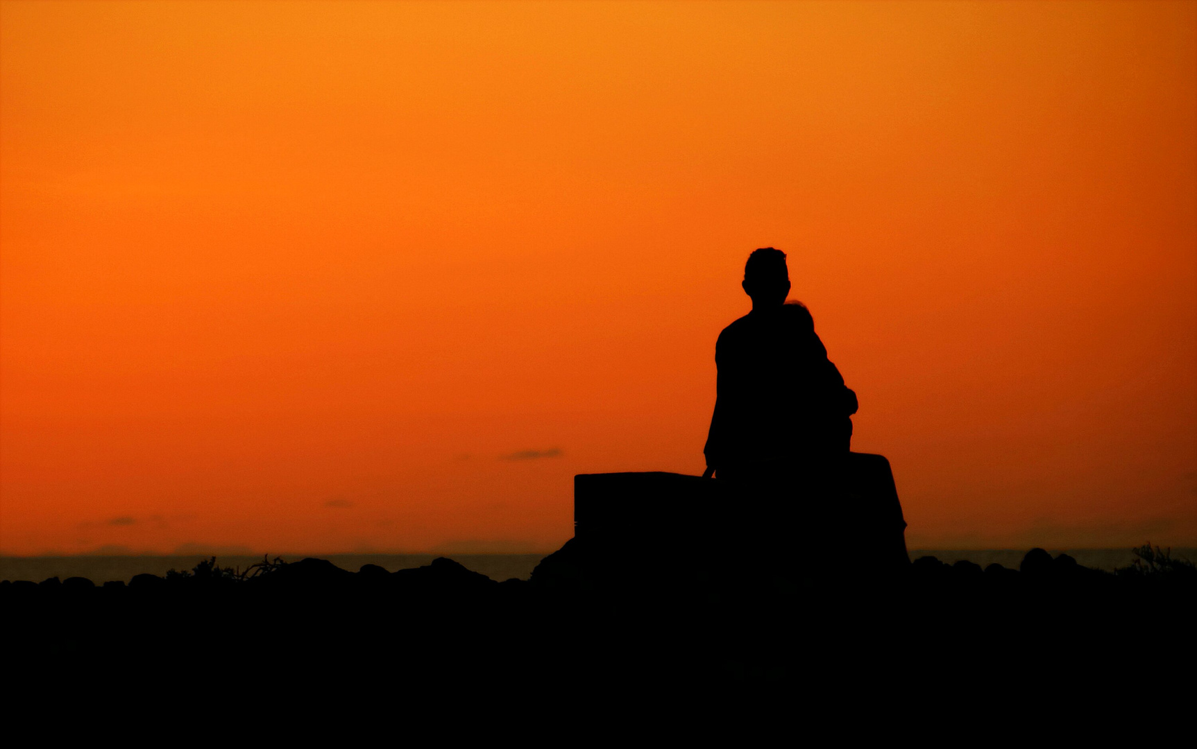 Team im Fokus "Silhouetten"